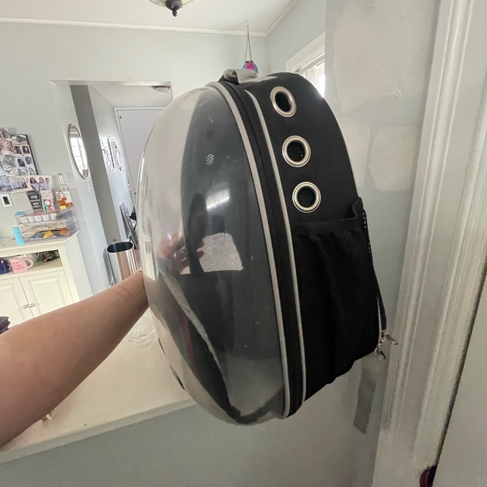Cat bubble backpack